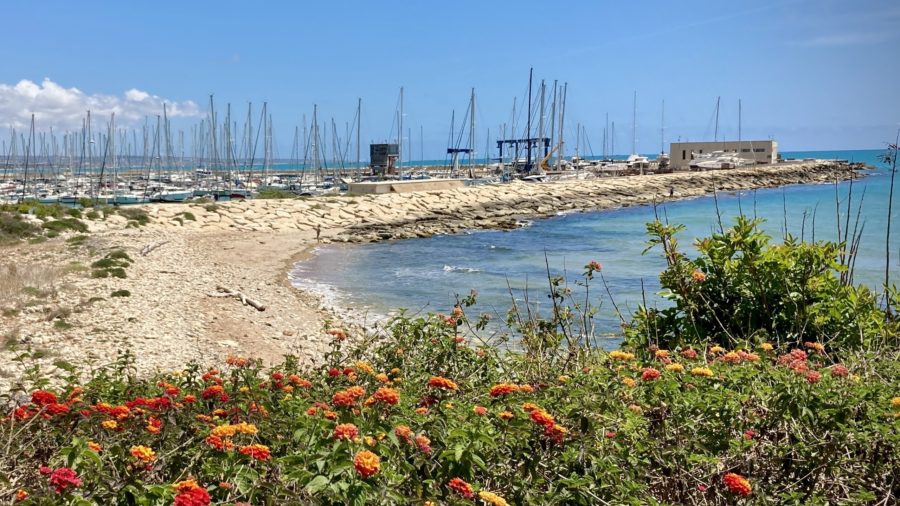 Hafen Marina di Ragusa